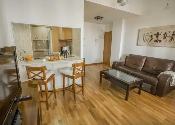 Skyline Penthouse 公寓 阿利坎特